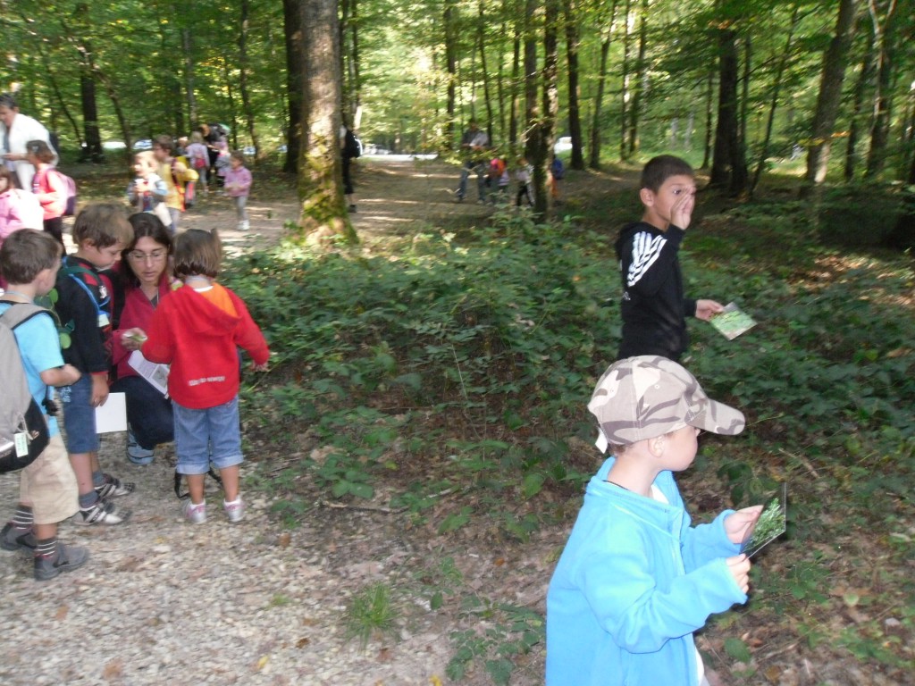 rando 2011 002.jpg